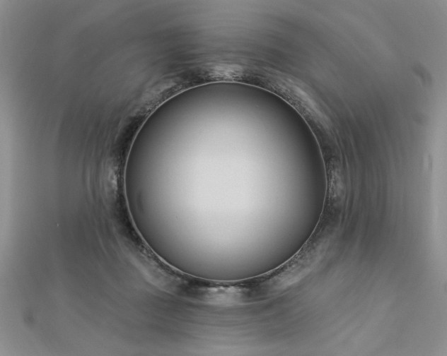 X0000113130363200909041152