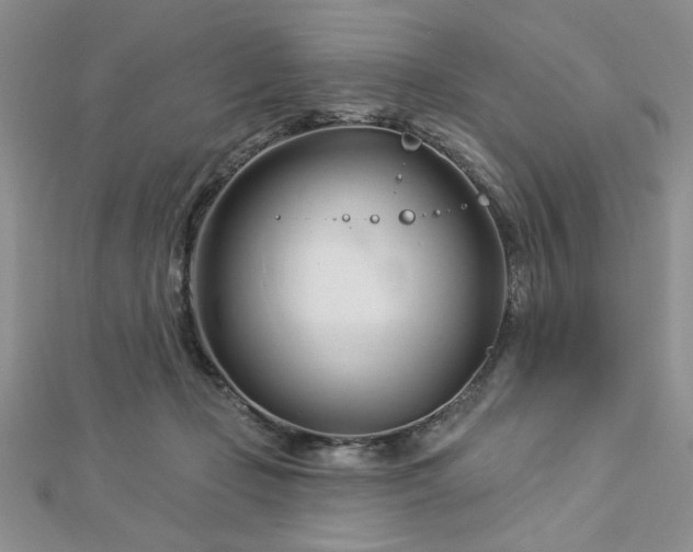 X0000113130365200909041152