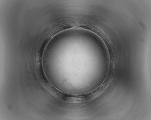 X0000113130366200909041152