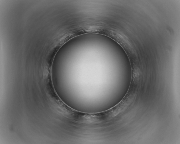 X0000113130367200909041152