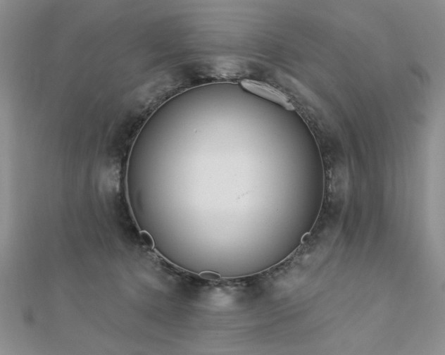 X0000113130368200909041152