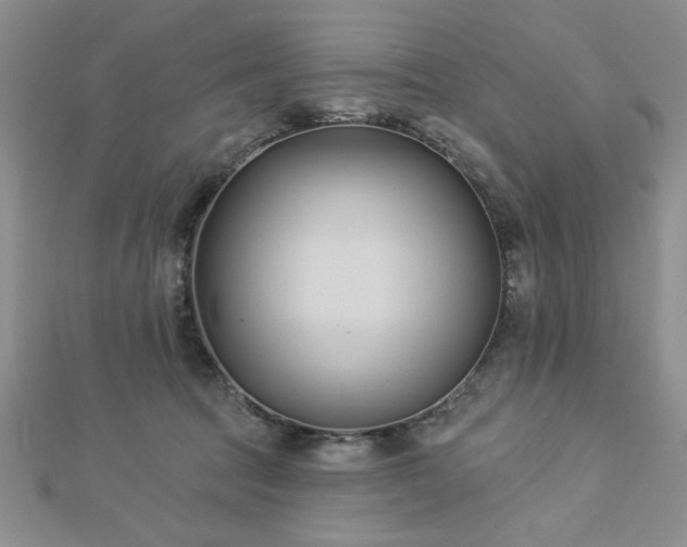 X0000113130369200909041152