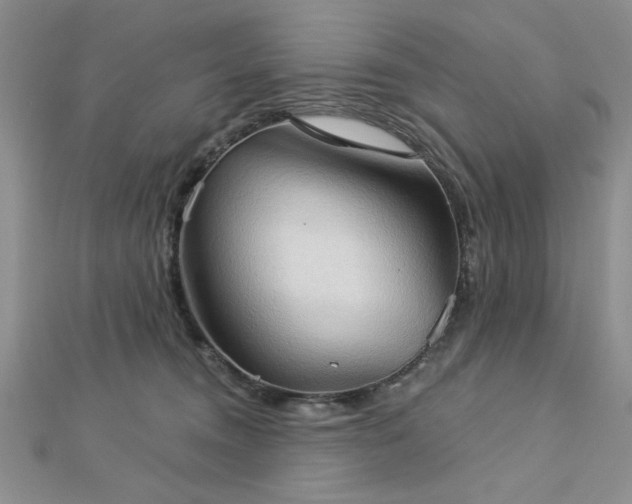 X0000113130372200909041152
