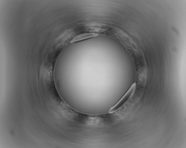 X0000113130376200909041152