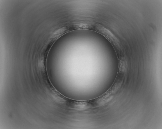 X0000113130377200909041152