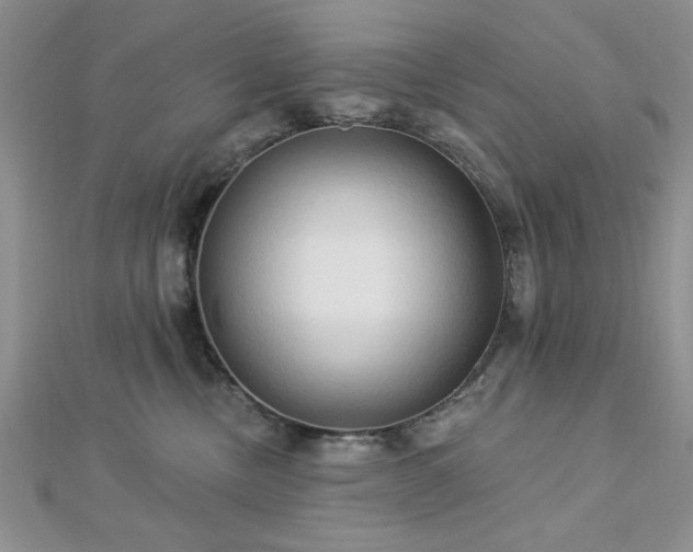 X0000113130378200909041152