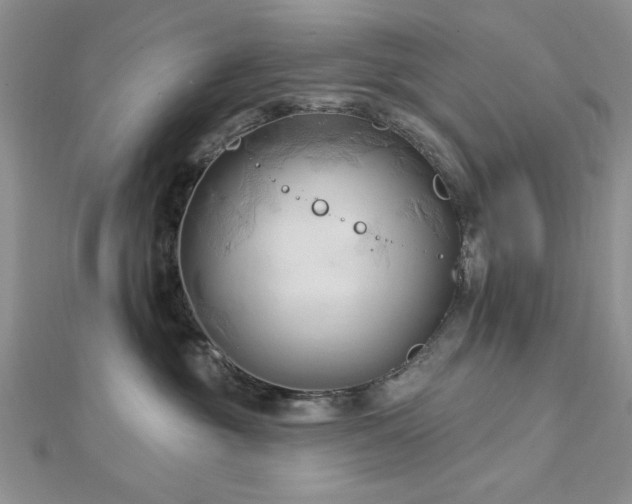 X0000113130381200909041152