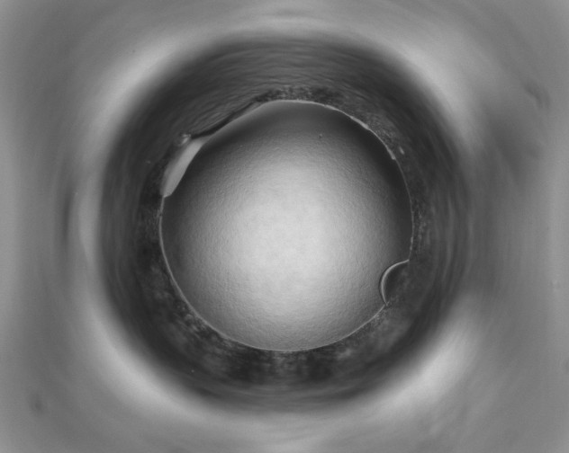 X0000113130383200909041152