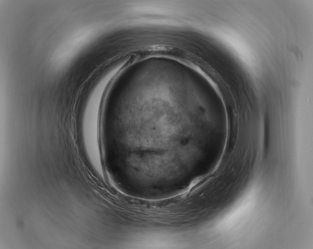 X0000113130387200909041151