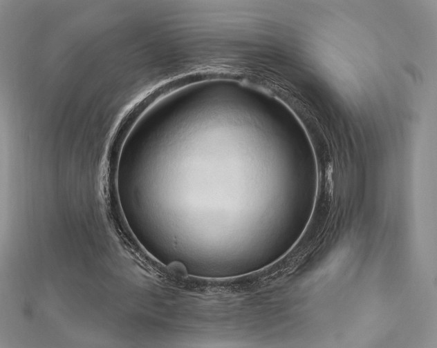 X0000113130388200909041151
