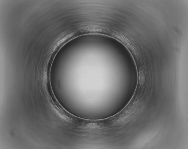 X0000113130390200909041151