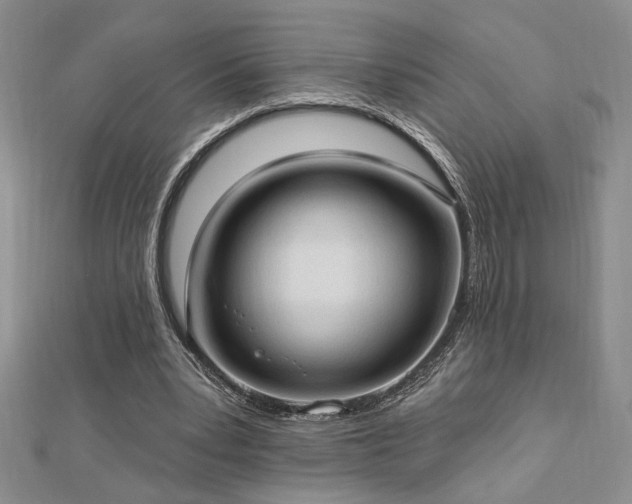 X0000113130391200909041151
