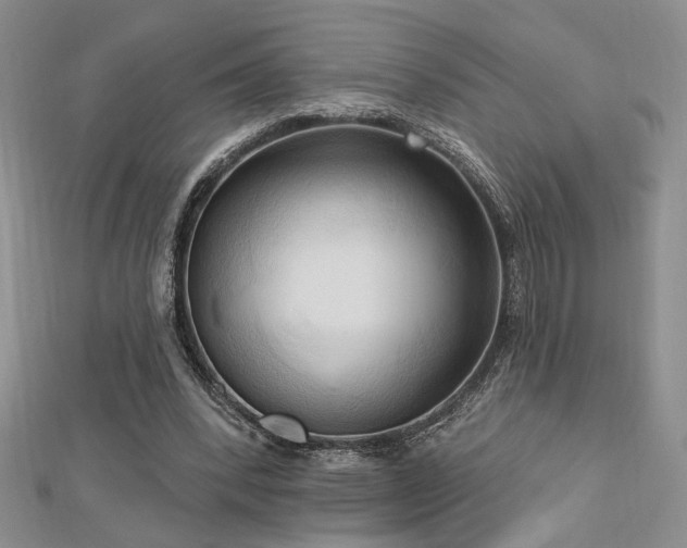 X0000113130392200909041151
