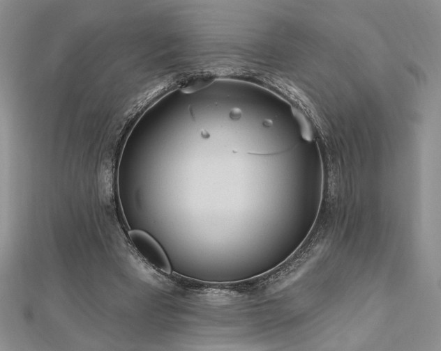 X0000113130393200909041151
