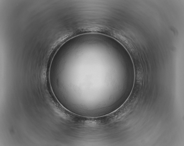 X0000113130394200909041151
