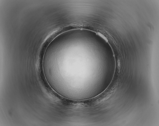 X0000113130396200909041151