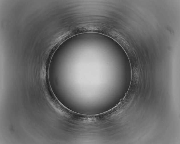 X0000113130398200909041151
