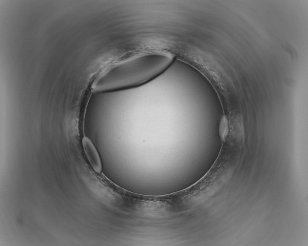 X0000113130399200909041151