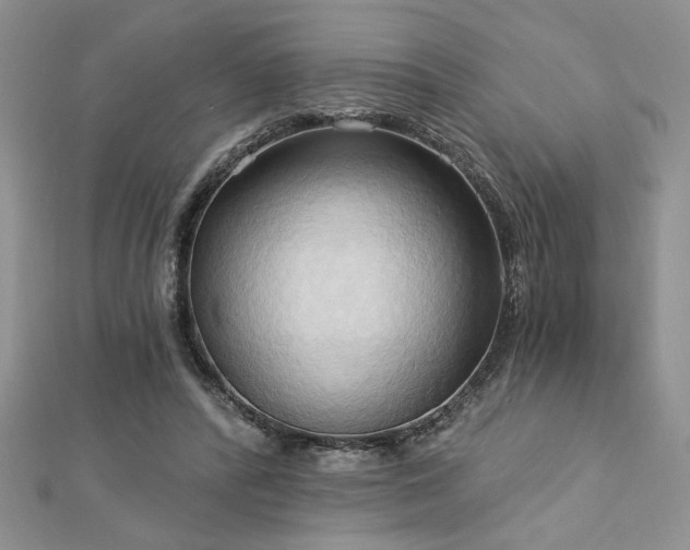 X0000113130400200909041151