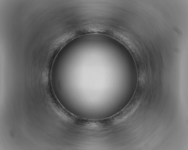 X0000113130402200909041151