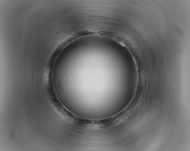 X0000113130404200909041151