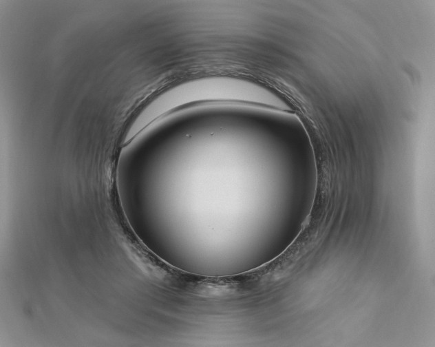 X0000113130405200909041151