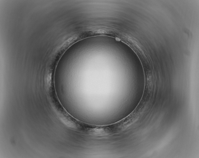 X0000113130406200909041151