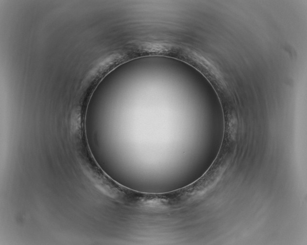 X0000113130407200909041151