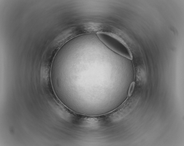 X0000113130409200909041151