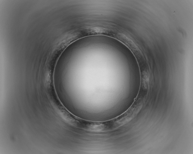 X0000113130410200909041151