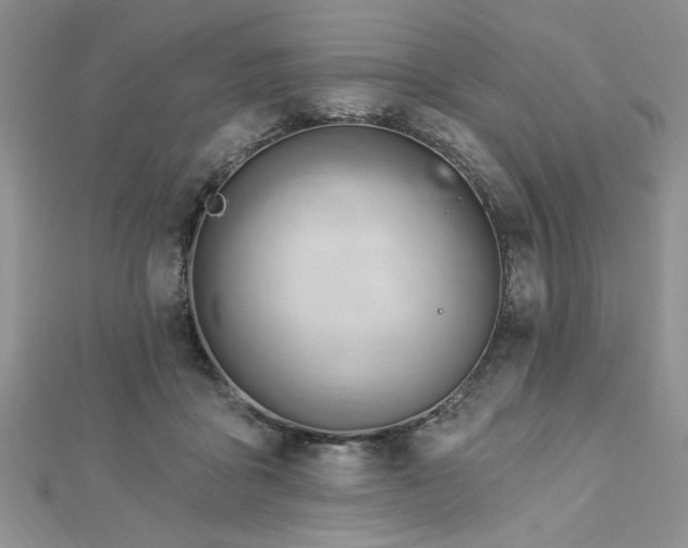 X0000113130411200909041151
