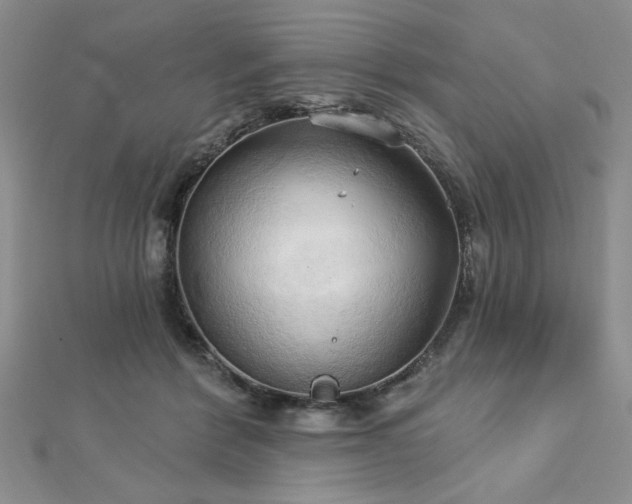 X0000113130412200909041151