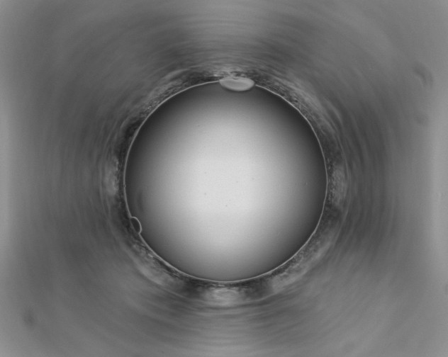 X0000113130413200909041151