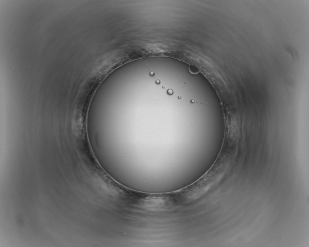 X0000113130418200909041151