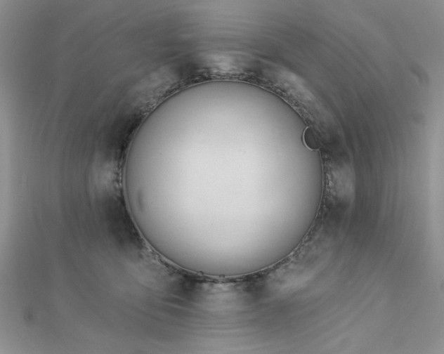 X0000113130419200909041151