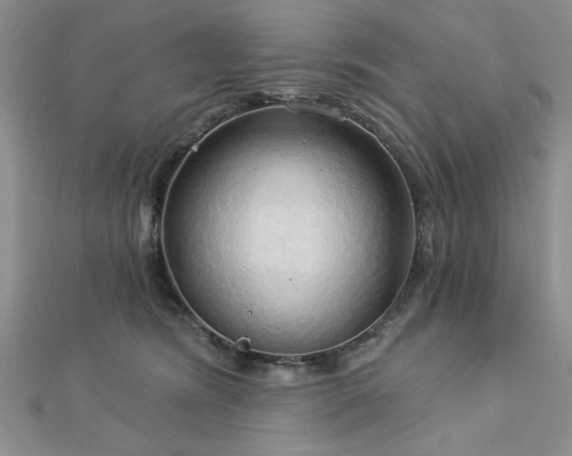 X0000113130420200909041151