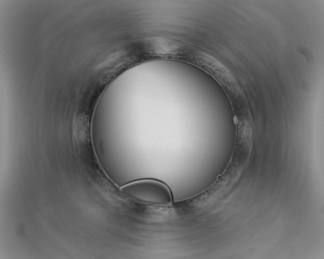 X0000113130421200909041151