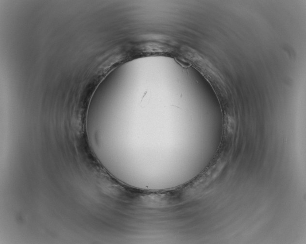 X0000113130422200909041151