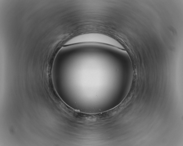 X0000113130423200909041151