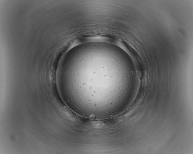X0000113130424200909041151