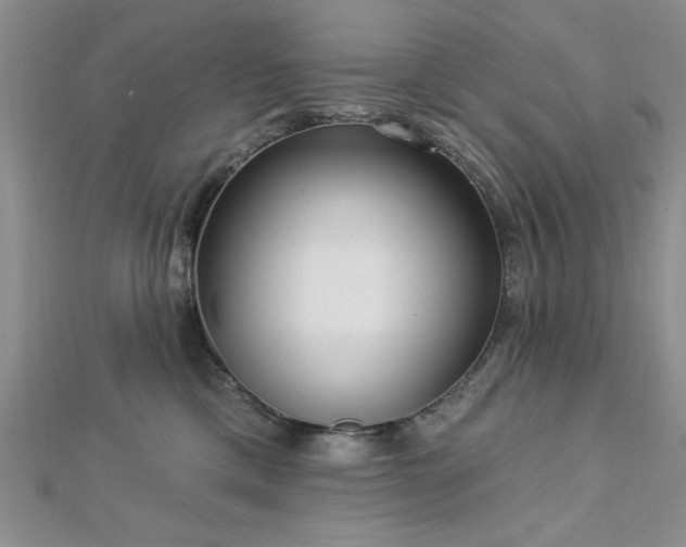 X0000113130425200909041151