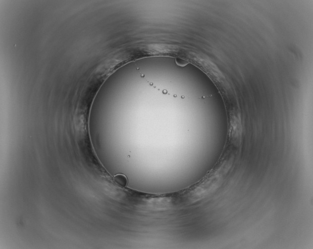 X0000113130426200909041151