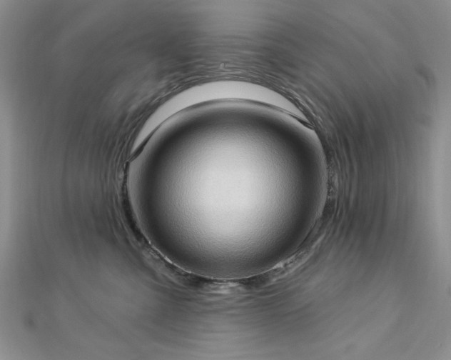 X0000113130427200909041151