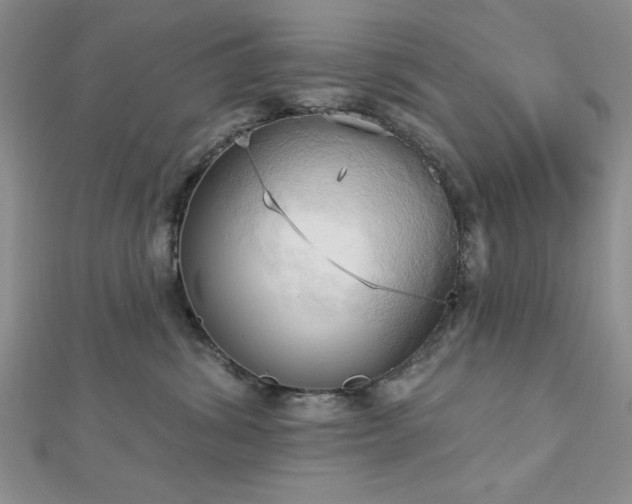 X0000113130428200909041151