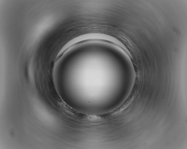 X0000113130429200909041151