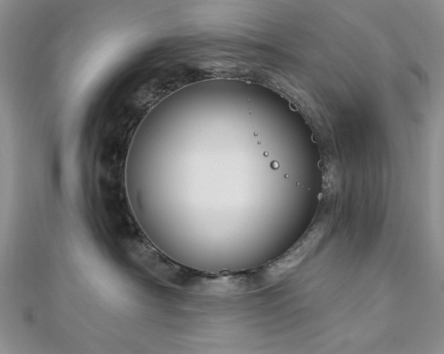 X0000113130430200909041151