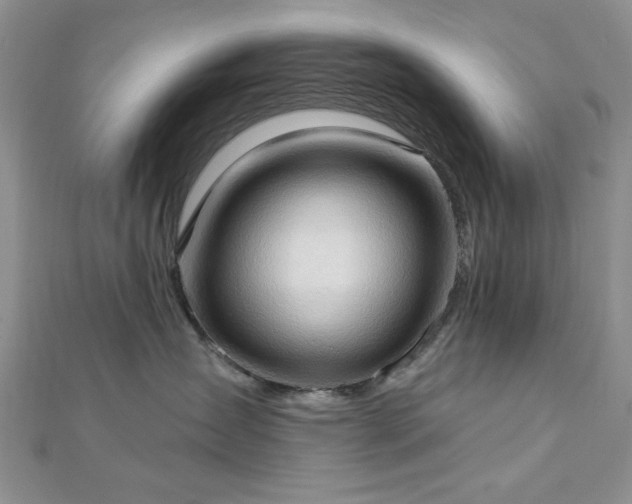 X0000113130431200909041151