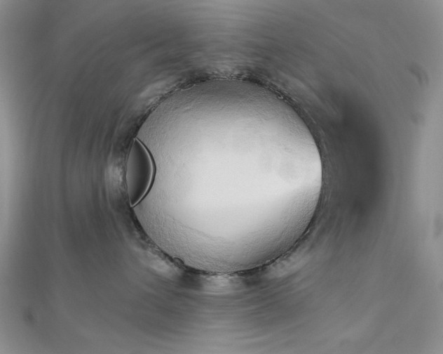 X0000113130432200909041151