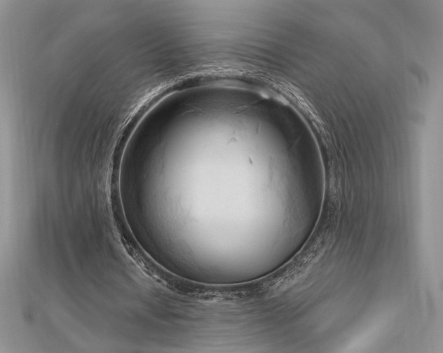 X0000113130434200909041150