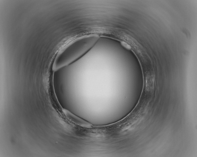 X0000113130436200909041150